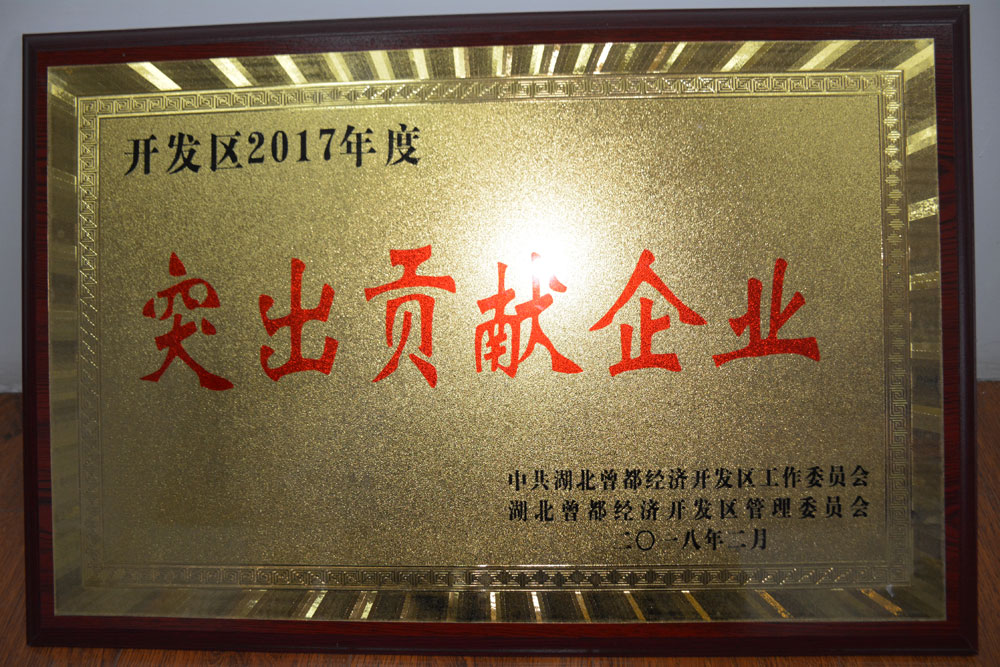 突出奉獻企業